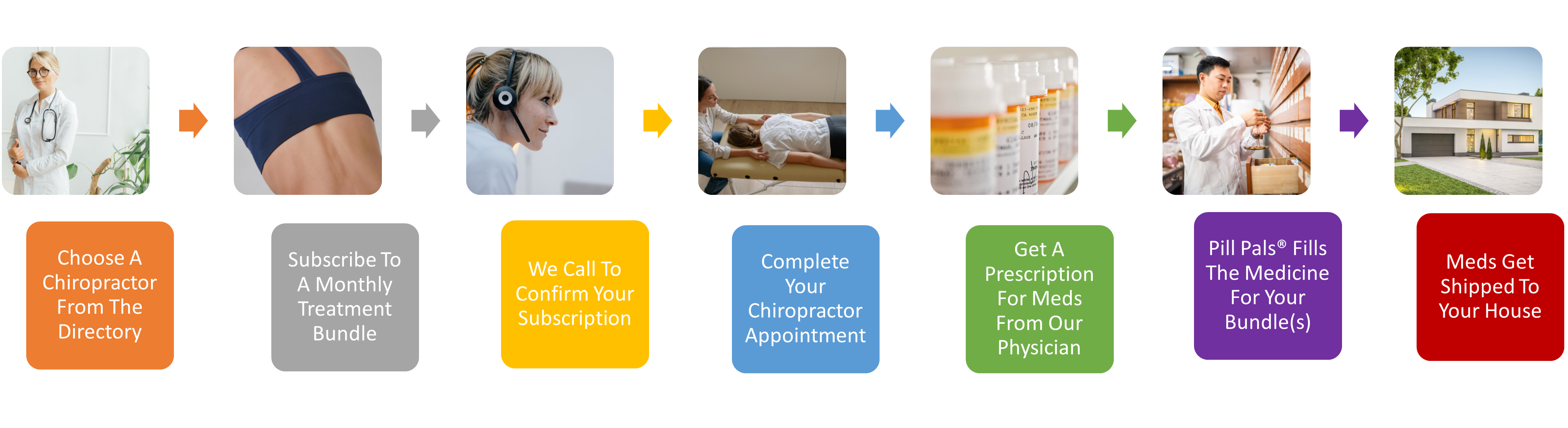 how chiro pals works